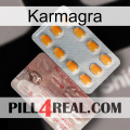 Karmagra new13